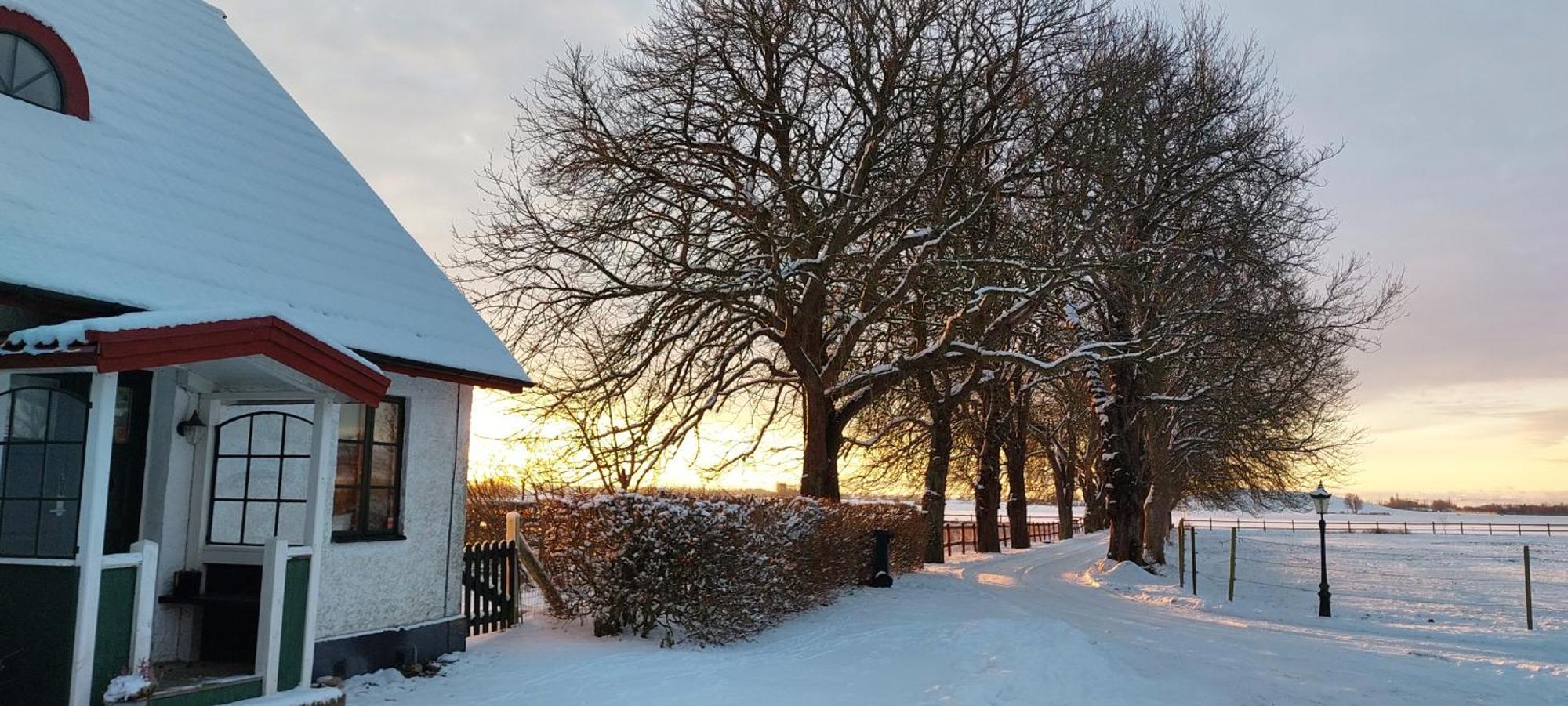 Lantligt Och Lugnt Boende Naera Natur Och Stad Svedala Eksteriør billede