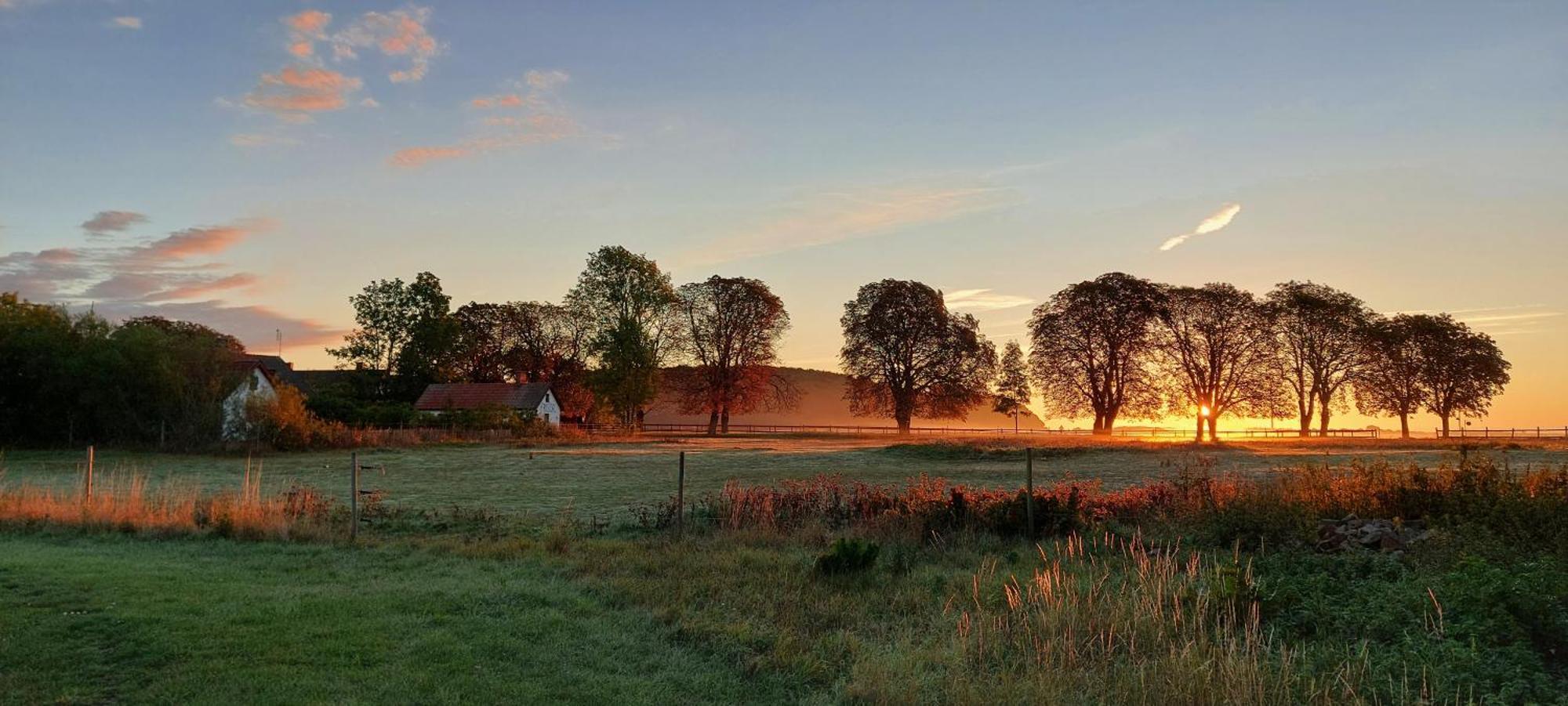 Lantligt Och Lugnt Boende Naera Natur Och Stad Svedala Eksteriør billede