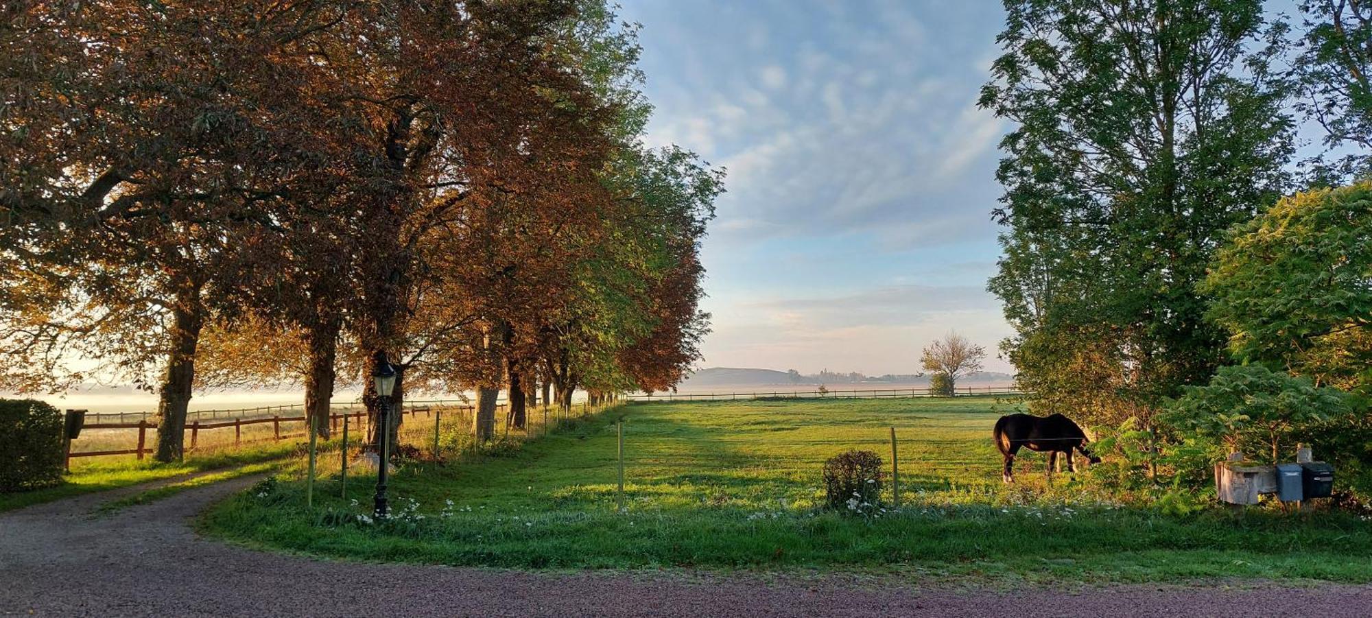 Lantligt Och Lugnt Boende Naera Natur Och Stad Svedala Eksteriør billede