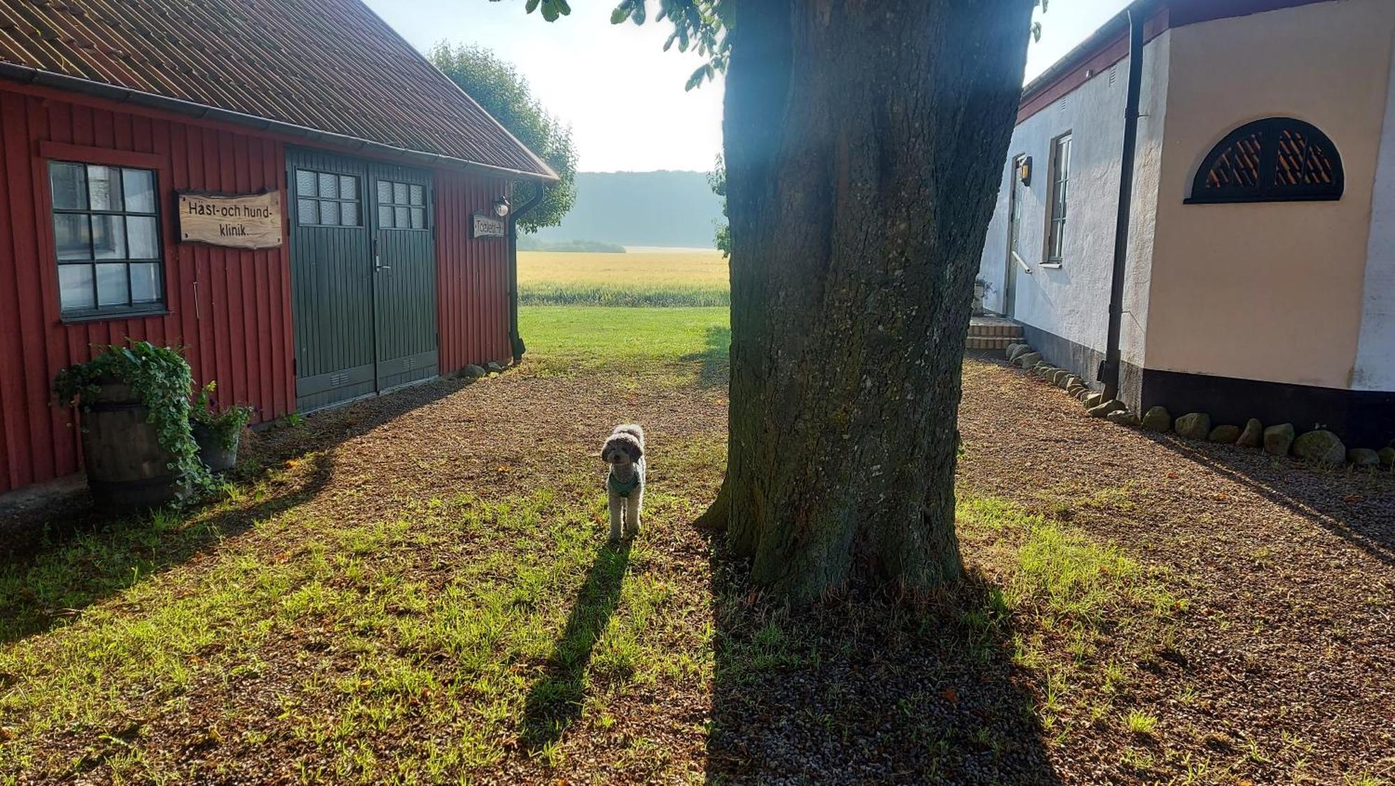 Lantligt Och Lugnt Boende Naera Natur Och Stad Svedala Eksteriør billede
