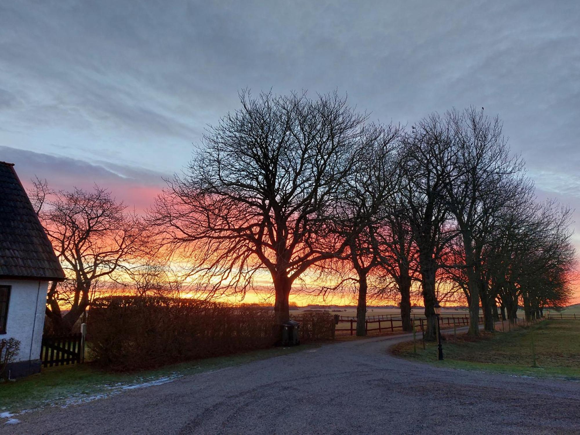 Lantligt Och Lugnt Boende Naera Natur Och Stad Svedala Eksteriør billede